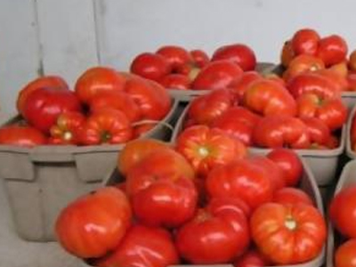 Tο Εργατικό Κέντρο Ηρακλείου μοιράζει πέντε τόνους τομάτας